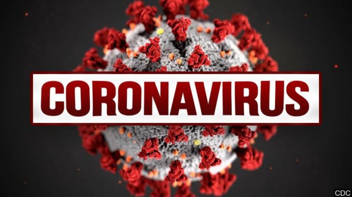 dunyada ve türkiye'de koronavirüs son durum