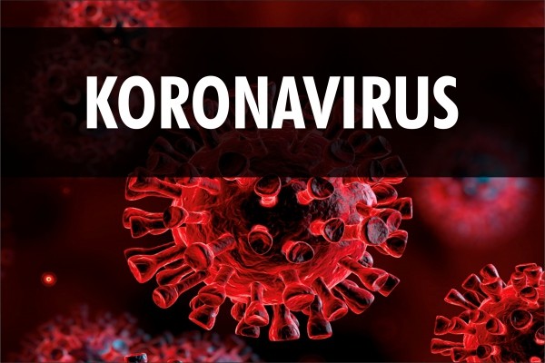 koronavirüs en çok hangi illerde TTB'den koronavirüs açıklaması