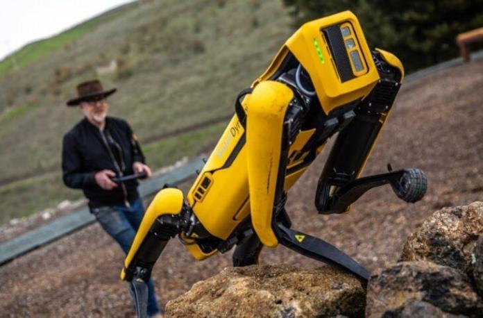 Robot Köpek Spot 74 Bin 500 Dolardan Satışa Sunuldu