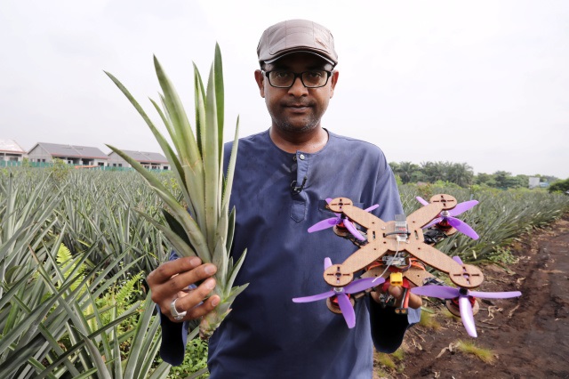 Ananas Drone